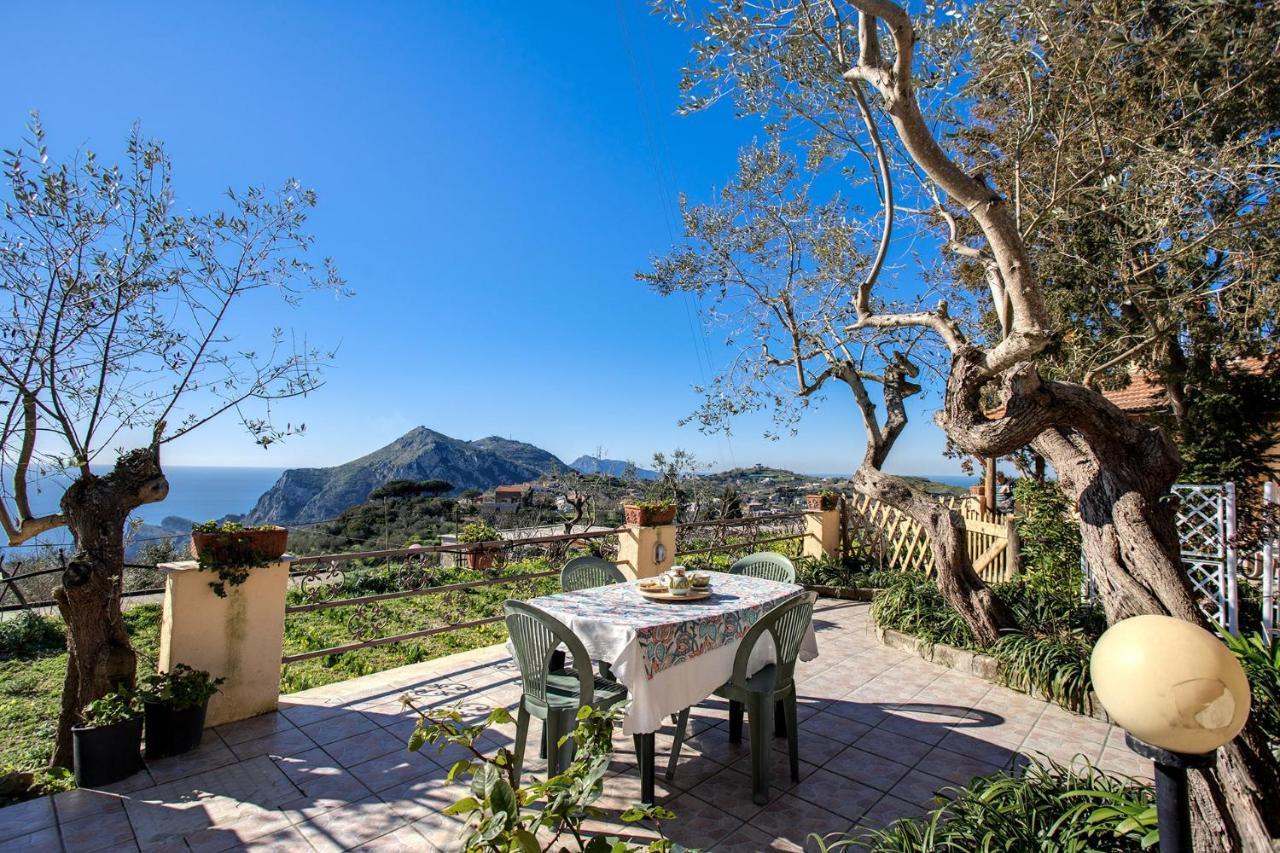 Il Pioppo - Country House Sea View Massa Lubrense Luaran gambar