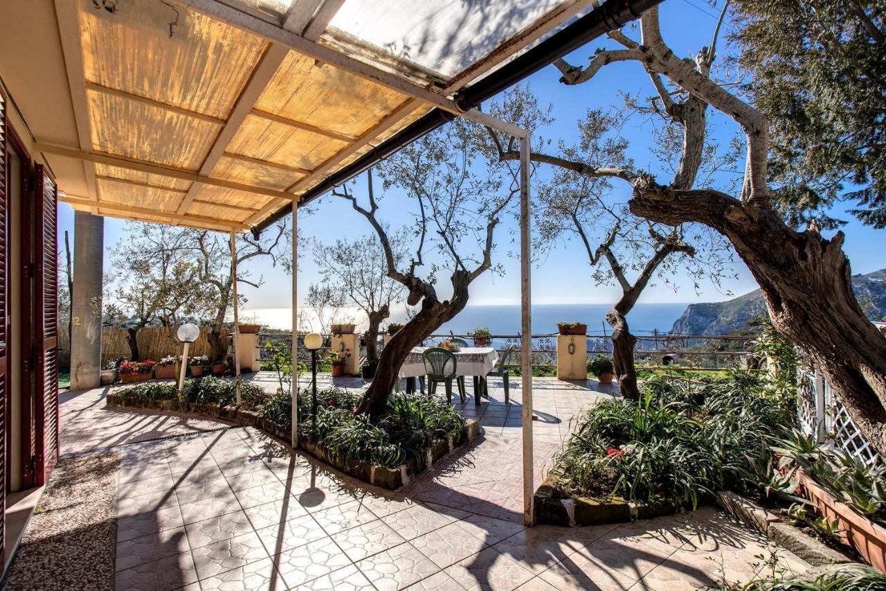 Il Pioppo - Country House Sea View Massa Lubrense Luaran gambar