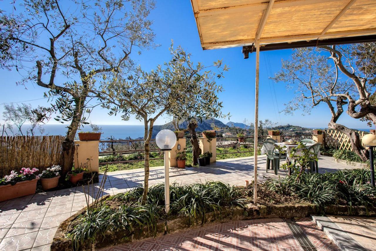 Il Pioppo - Country House Sea View Massa Lubrense Luaran gambar